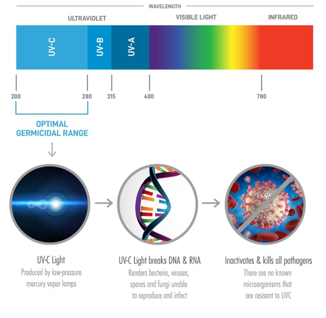 UVC light range for disinfection